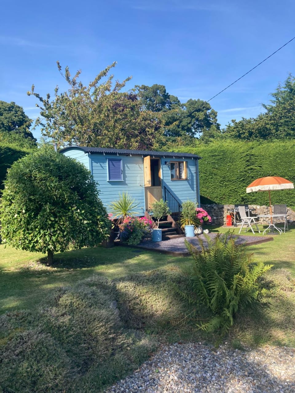 Garden view