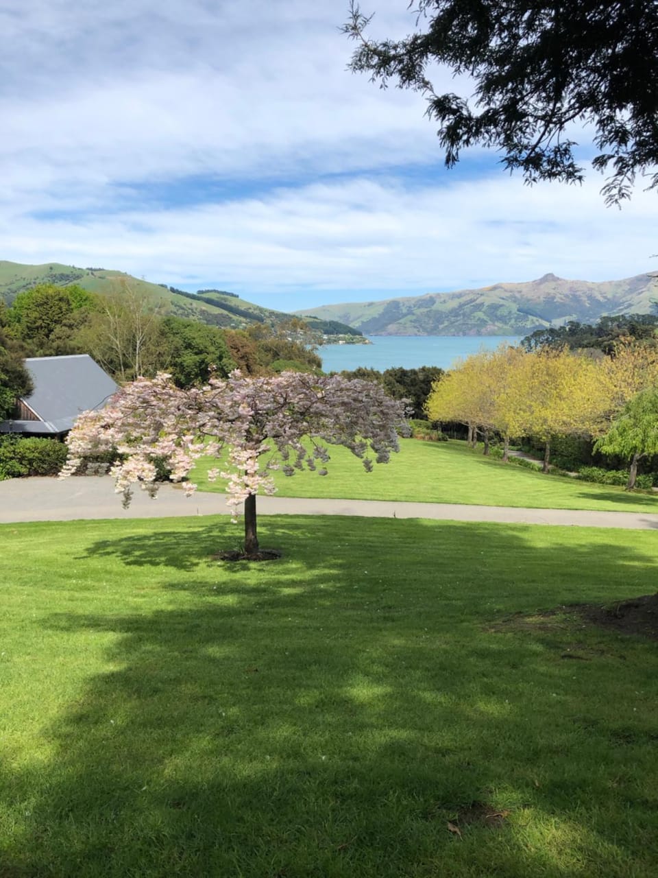 Cherrywood Cottage House in Akaroa