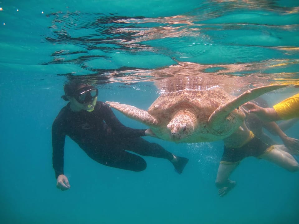 Perhentian Chomel Chalet Bed and Breakfast in Terengganu, Malaysia