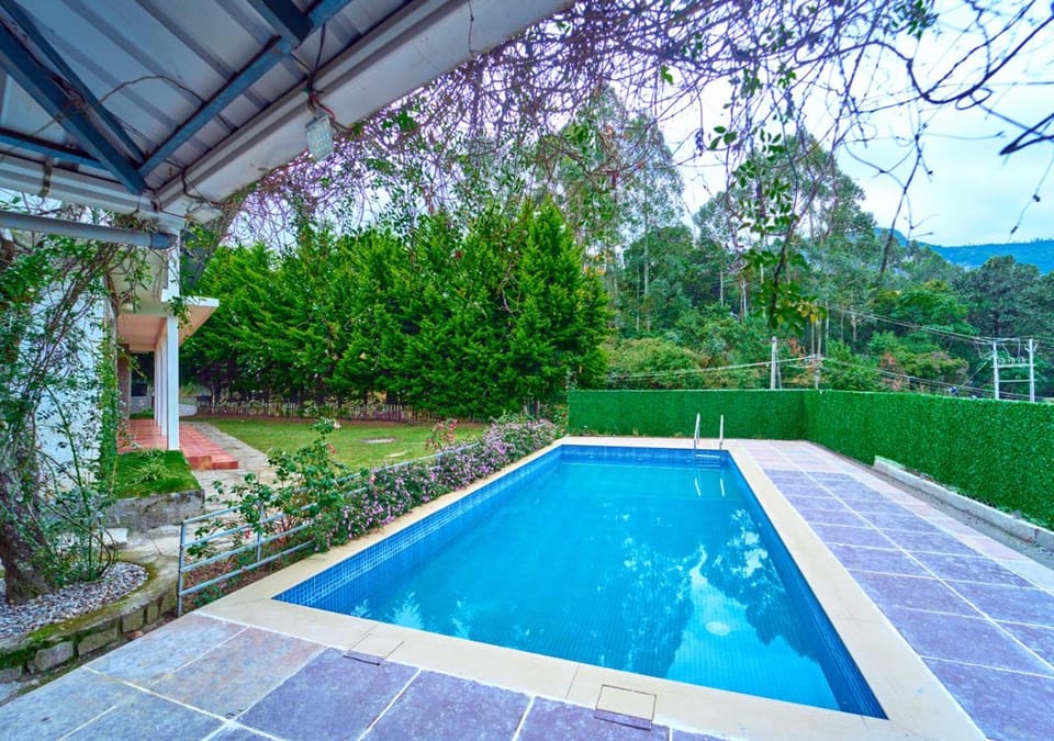 Spring, Day, Natural landscape, Garden, Garden view, Mountain view, Pool view, Swimming pool
