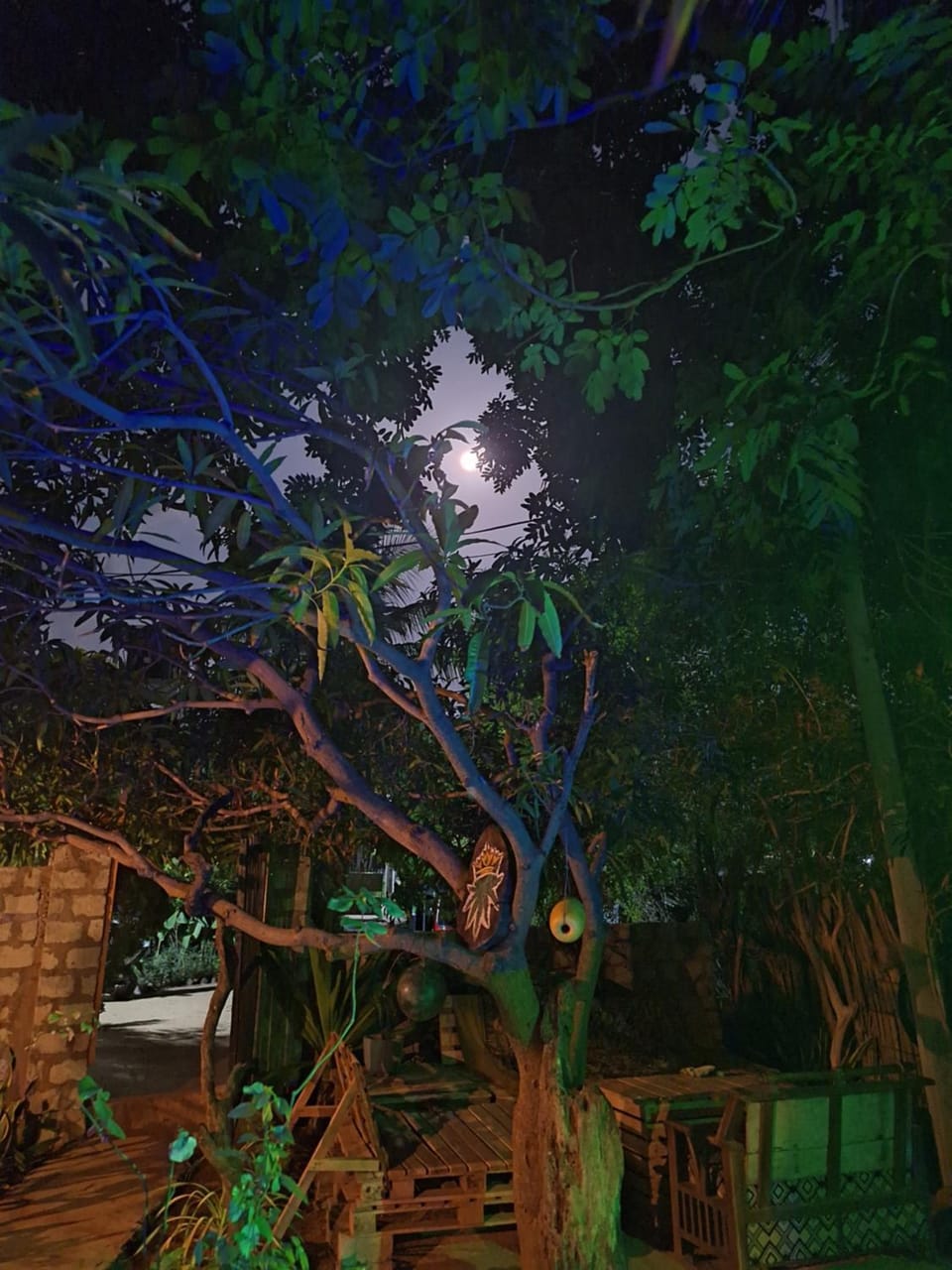 Akki's Hostel Bed and Breakfast in Sri Lanka