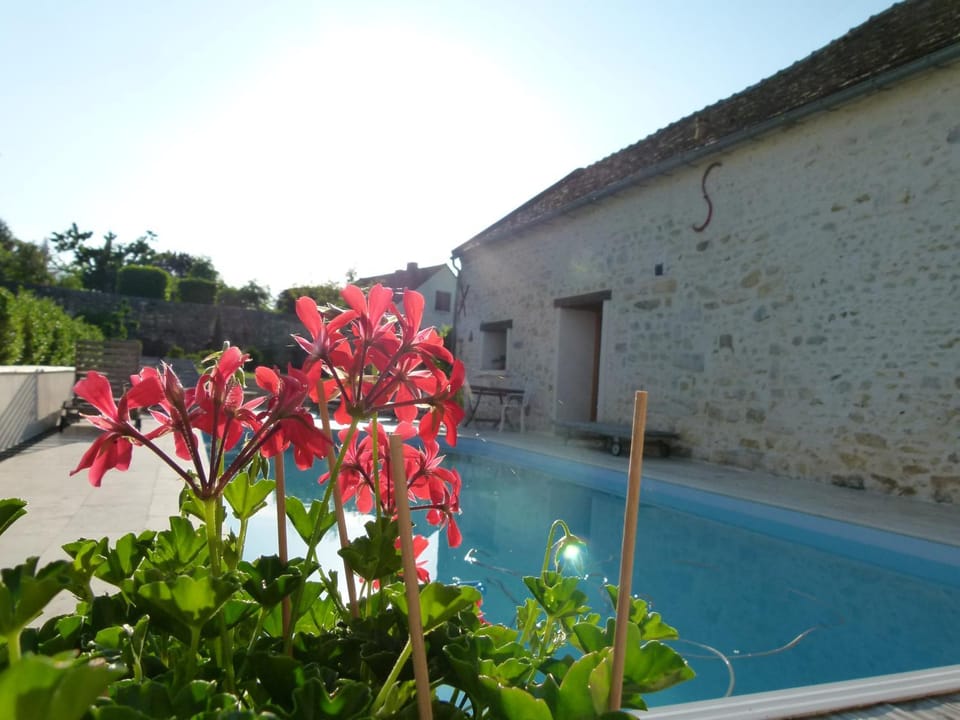 Swimming pool, Swimming pool
