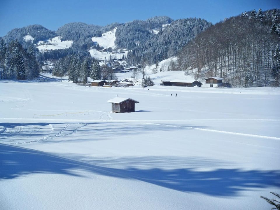 Ferienwohnungen Bergerhof Apartment in Aschau im Chiemgau