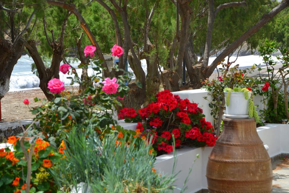 Garden, Decorative detail, Sea view