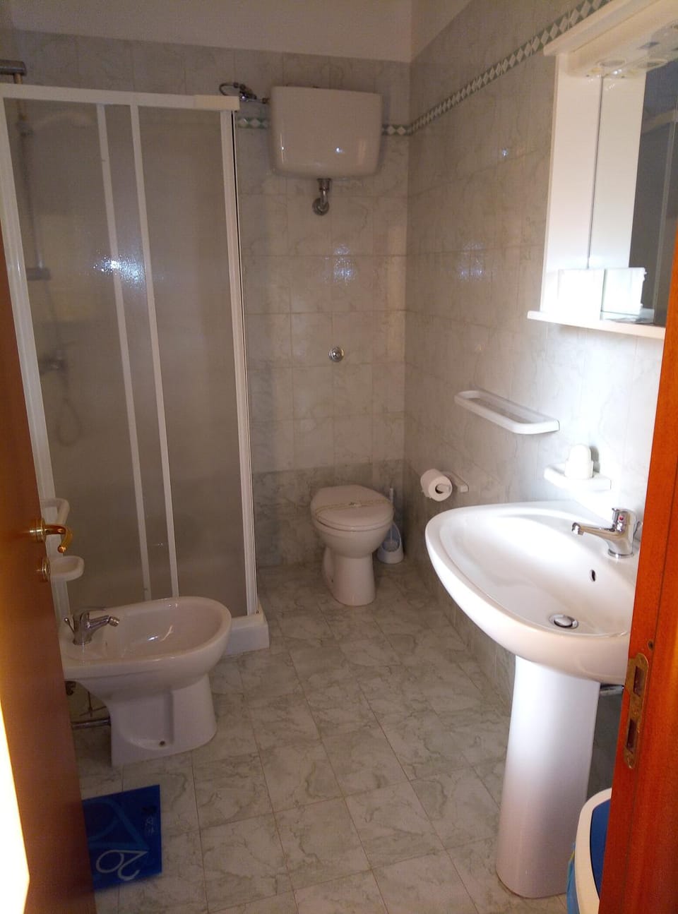 Shower, Toilet, bidet, towels