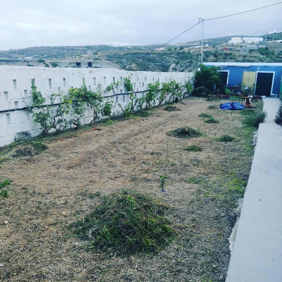 Yurta de Arico Luxury tent in Abona