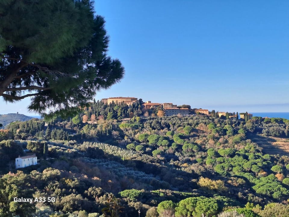 Landmark view