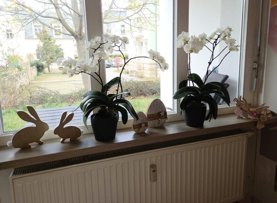 Decorative detail, Decorative detail