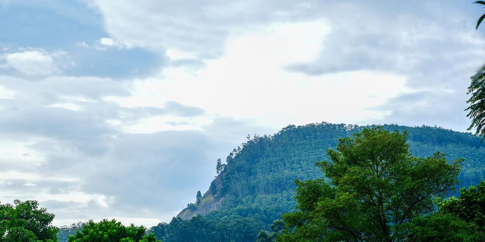 Mountain view