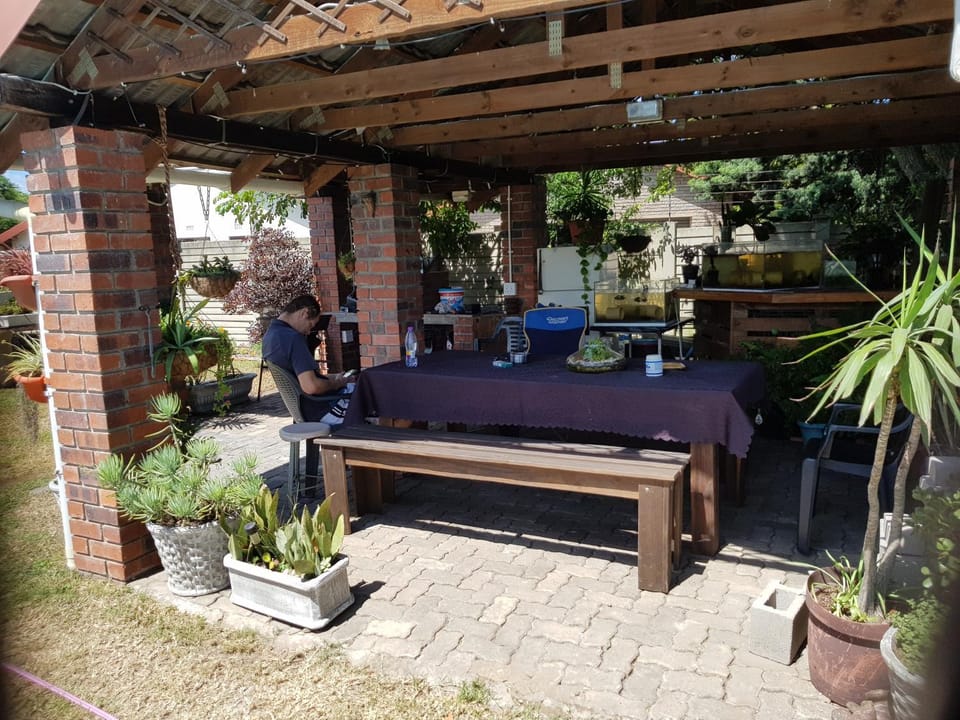 Day, BBQ facilities, Garden, On site, Garden view, Pool view, Area and facilities, Swimming pool, Sports, Entertainment
