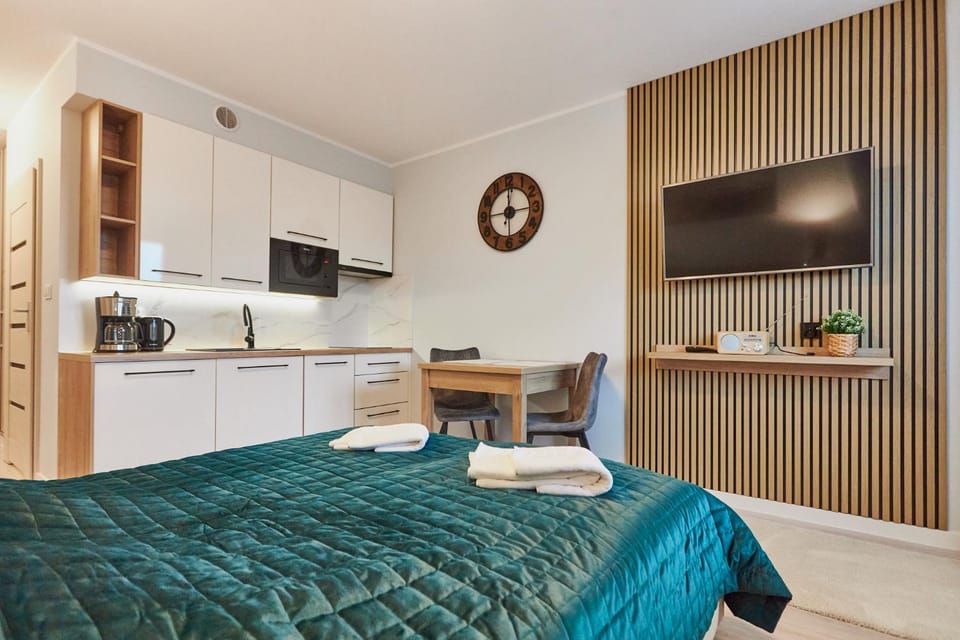 Bed, TV and multimedia, Kitchen or kitchenette, Photo of the whole room, towels