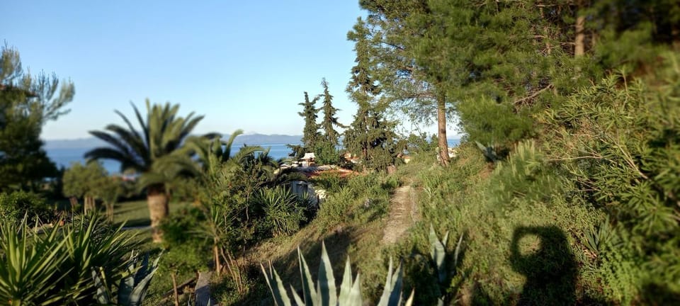 Property building, Garden view