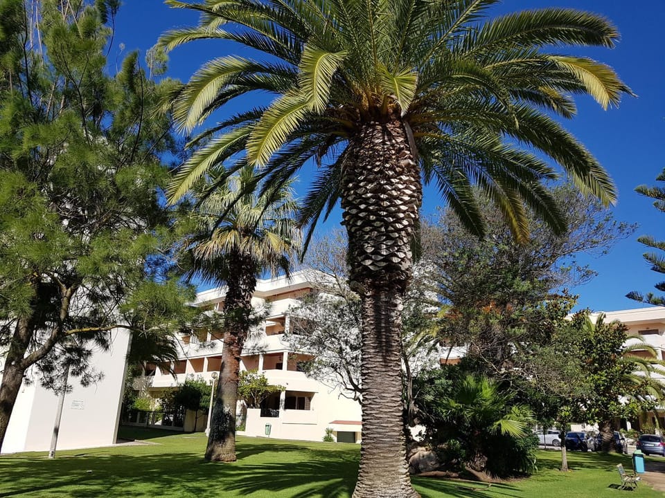 Property building, Garden