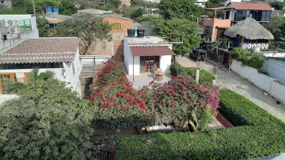 Property building, Facade/entrance, Garden, View (from property/room), Garden view