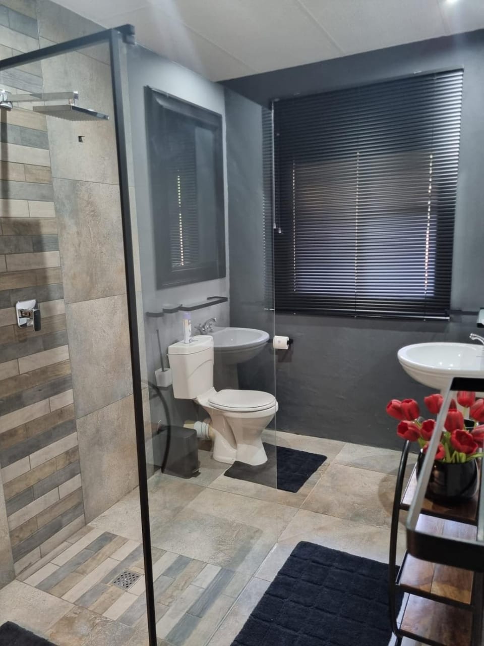 Vaal De Vue - Formanstreet 68 - Self Catering Apartment Apartment in North West, South Africa