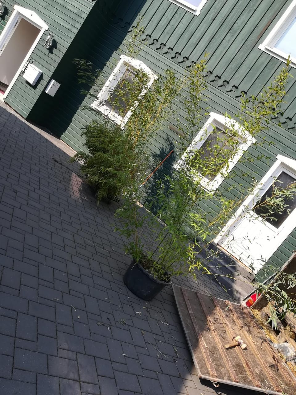 Property building