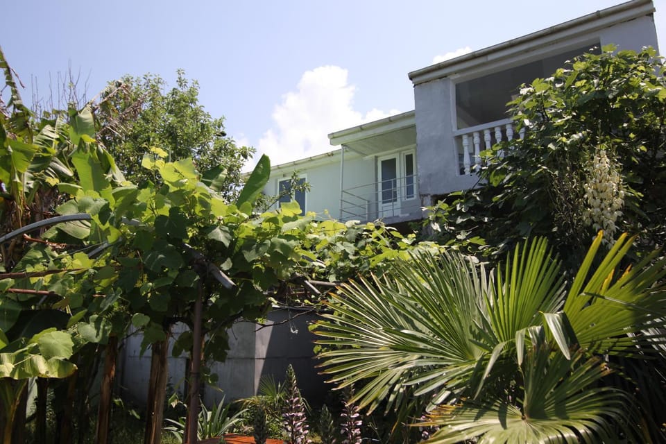 Property building, Garden