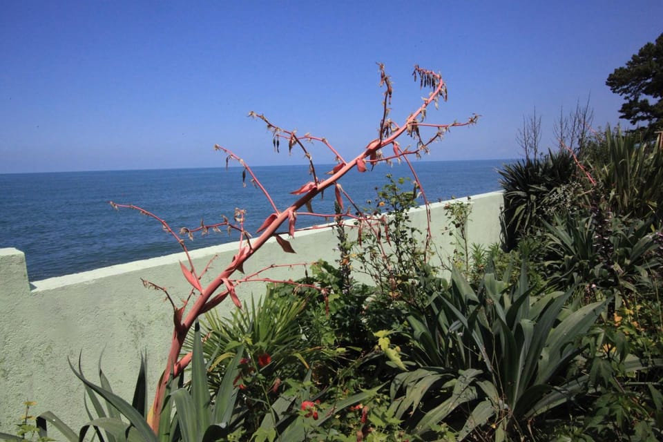 Natural landscape, Sea view