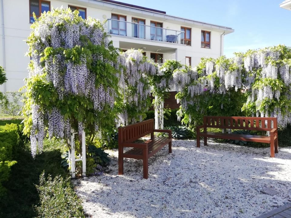 Property building, Patio, Garden