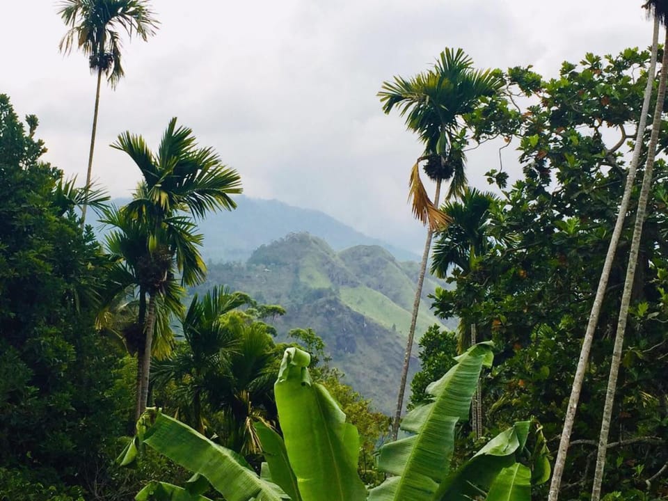 Natural landscape, Mountain view