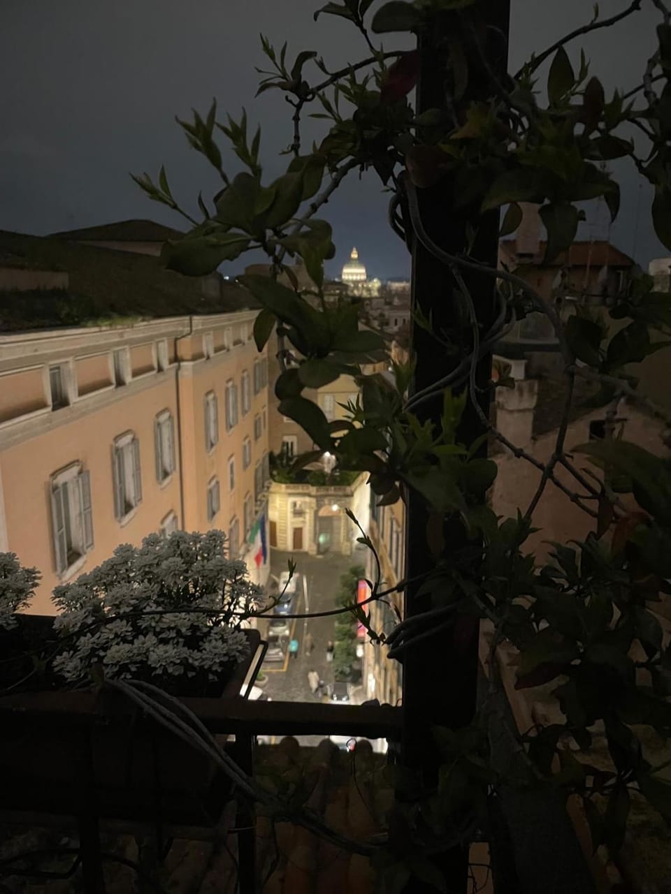 Stelletta 1a Apartment in Rome