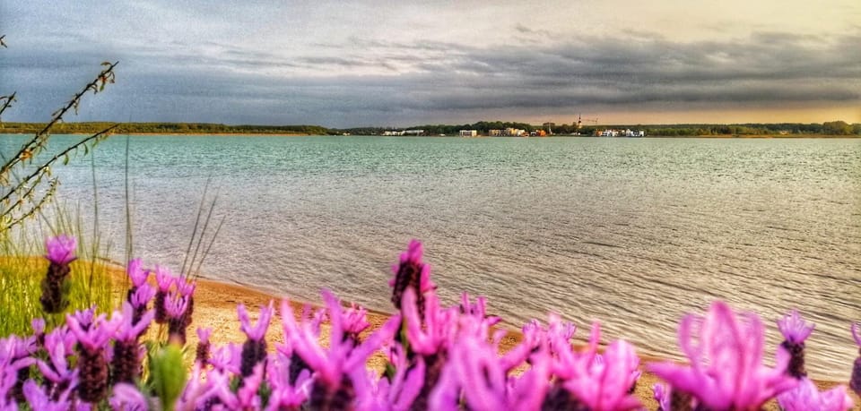 Ferienhaus sonnenWIND am Hainer See Apartment in Thuringia, Germany