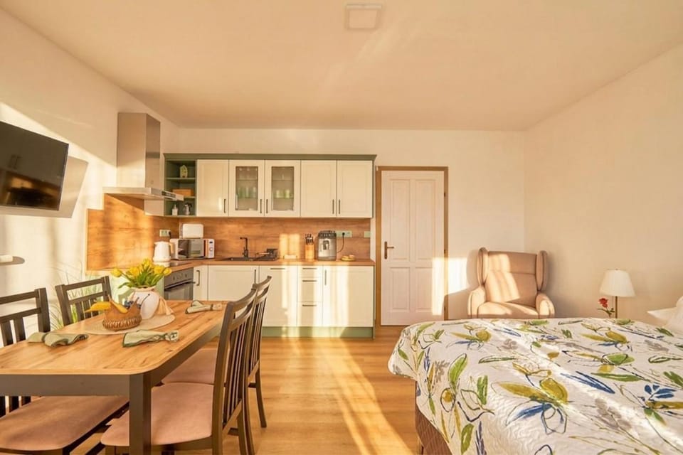 Bed, TV and multimedia, Kitchen or kitchenette, Living room, Seating area, Dining area, Bedroom, oven, kitchen