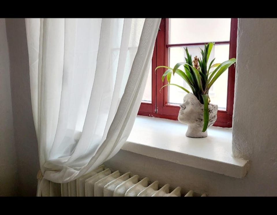 Sztukmistrz Magician Art Rooms Bed and Breakfast in Masovian Voivodeship