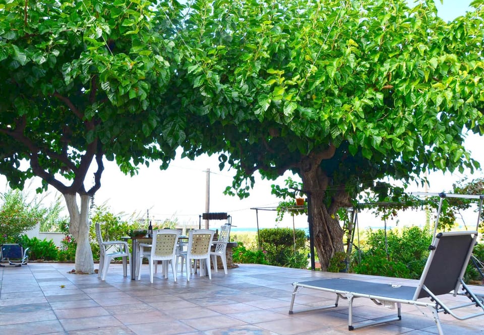 Day, Garden, Garden view