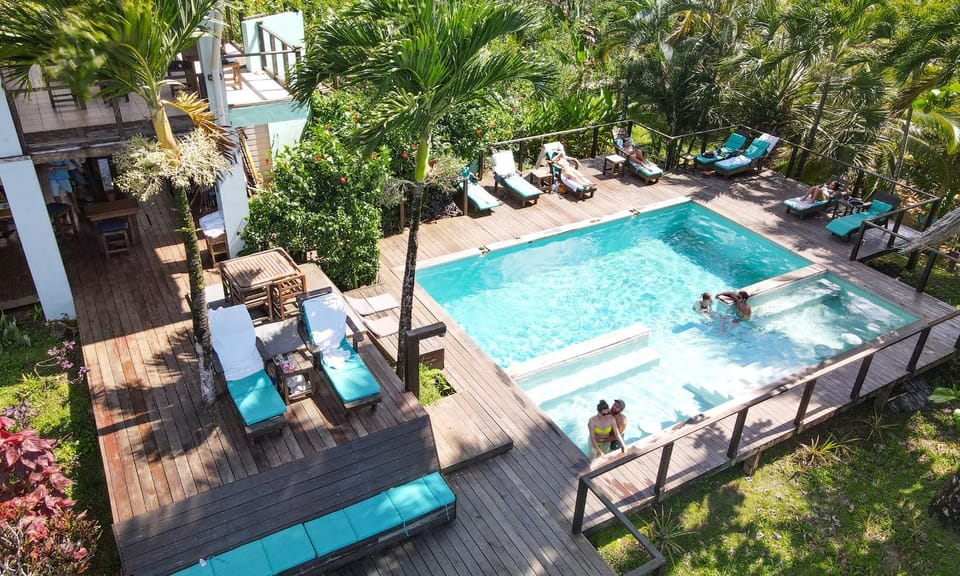 Day, Natural landscape, Garden view, Pool view, Swimming pool, sunbed