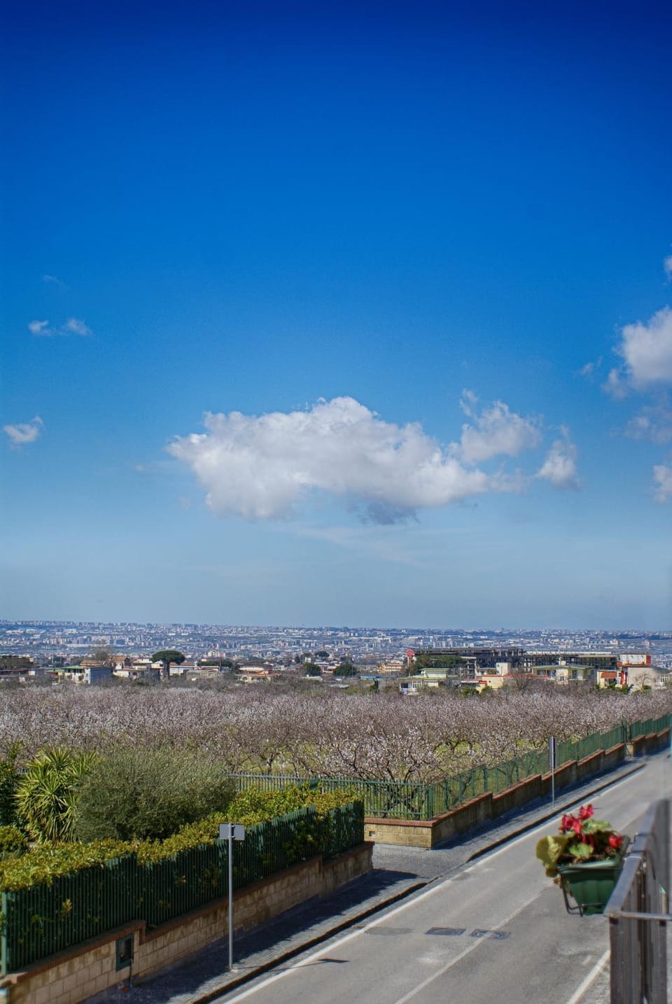 Bird's eye view, View (from property/room), Balcony/Terrace, Photo of the whole room