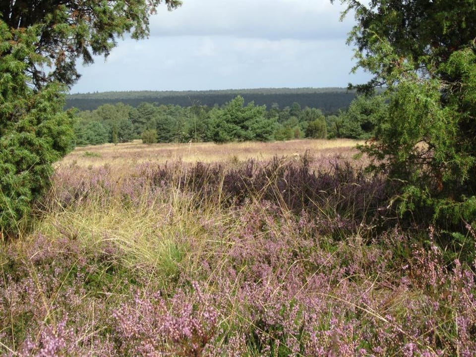 Natural landscape, Hiking