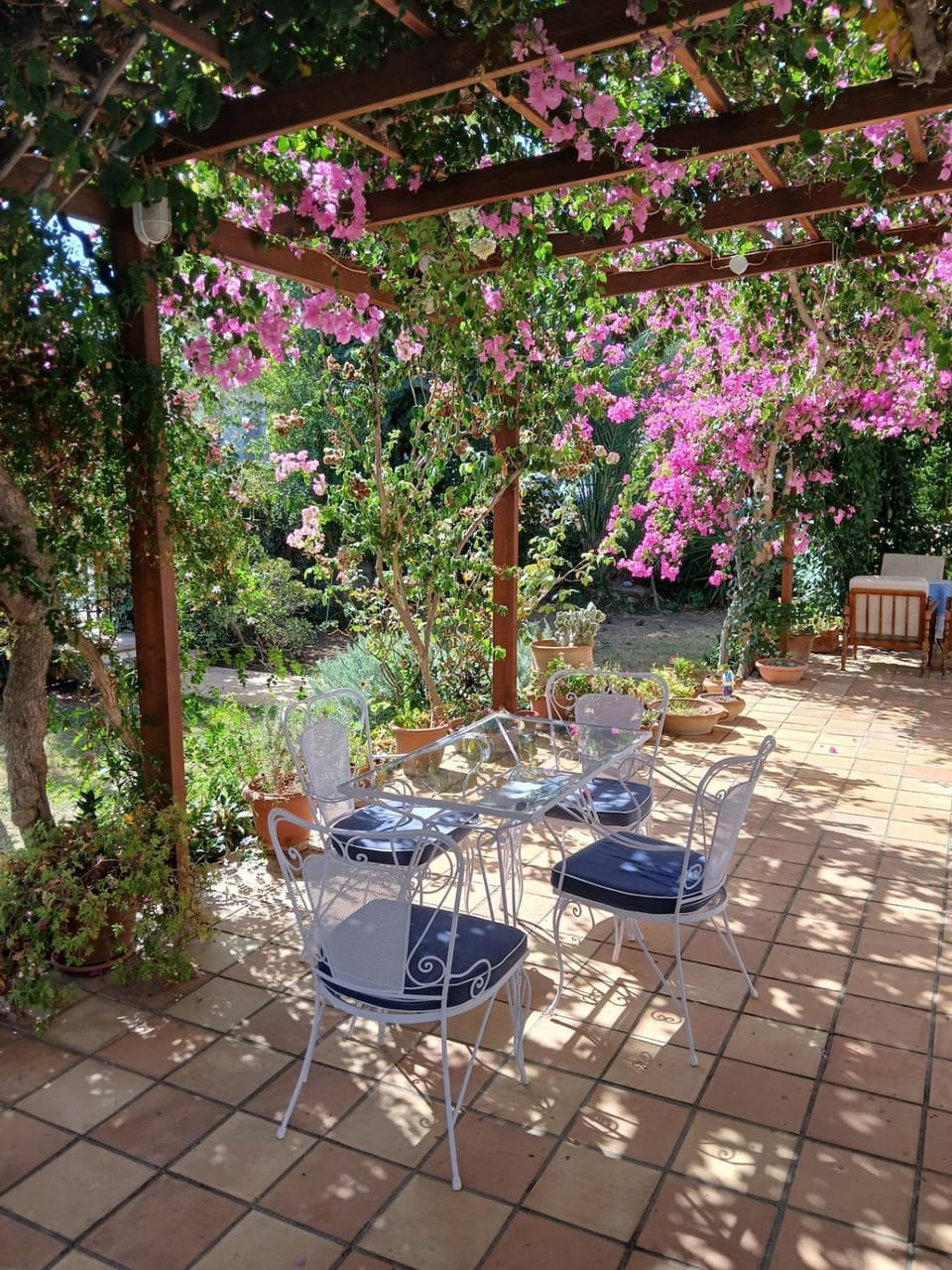Patio, Garden, Garden view