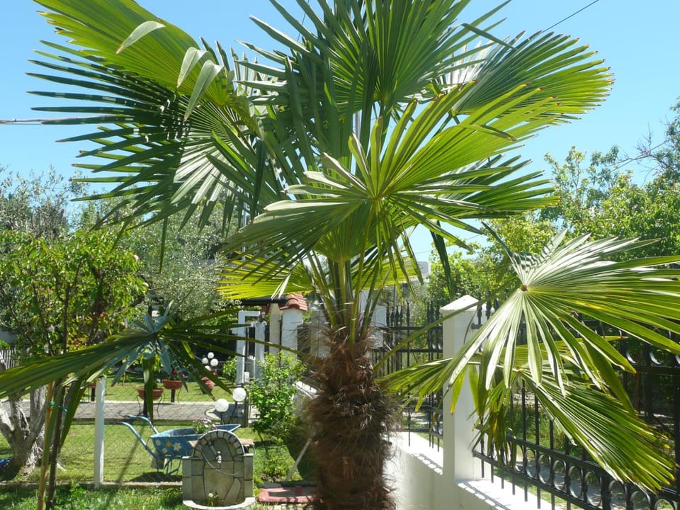 Garden, Garden view