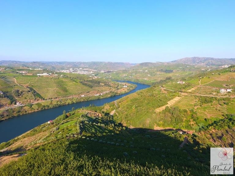 Quinta do Pombal Douro Villa in Vila Real District