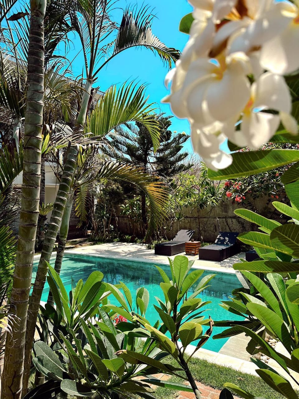 Spring, Day, Natural landscape, Garden, Garden view, Pool view, Swimming pool