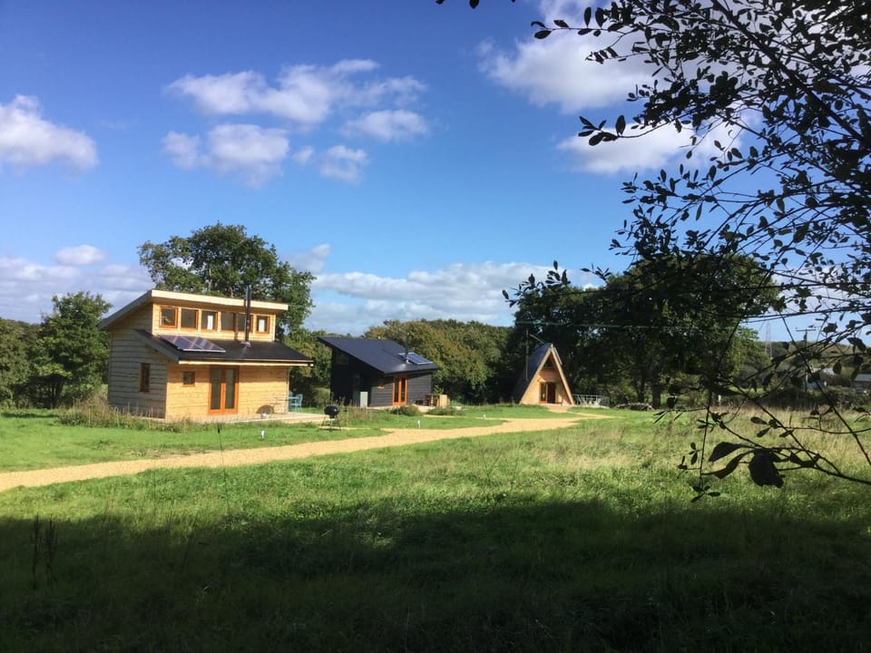 Property building, Neighbourhood, Summer, On site