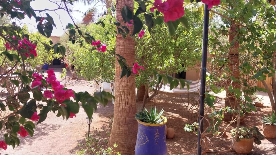 Camping Bassou Bed and Breakfast in Morocco