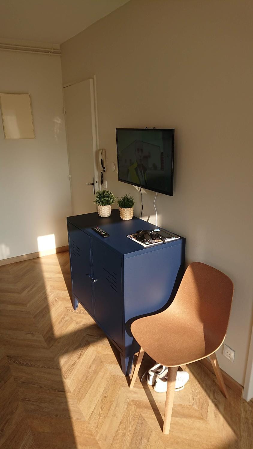 TV and multimedia