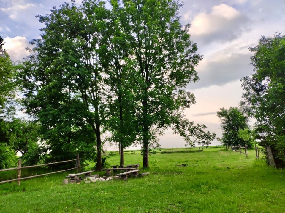 Dzikówka Farm Stay in Poland
