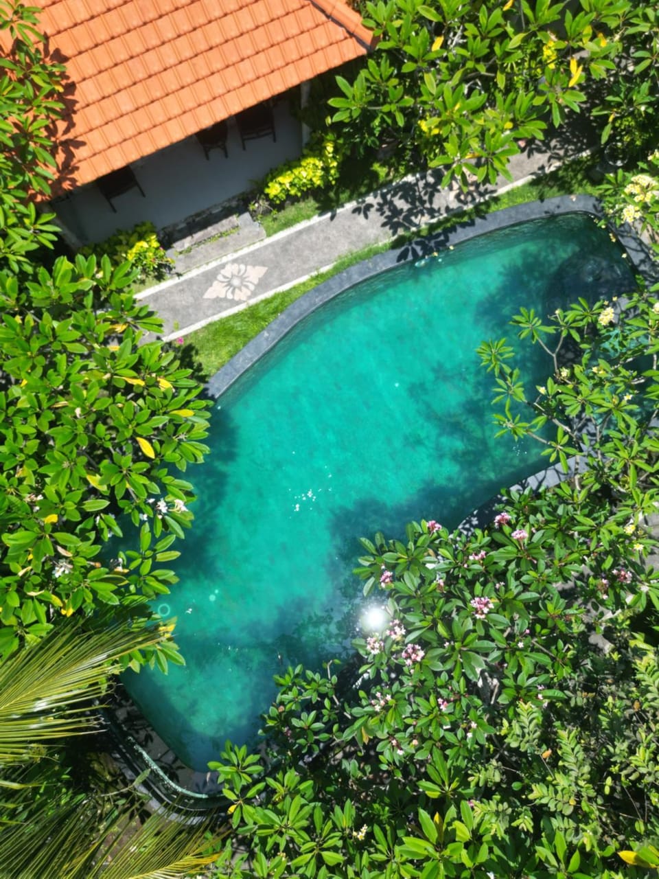 Day, Natural landscape, Garden view, Pool view, Swimming pool