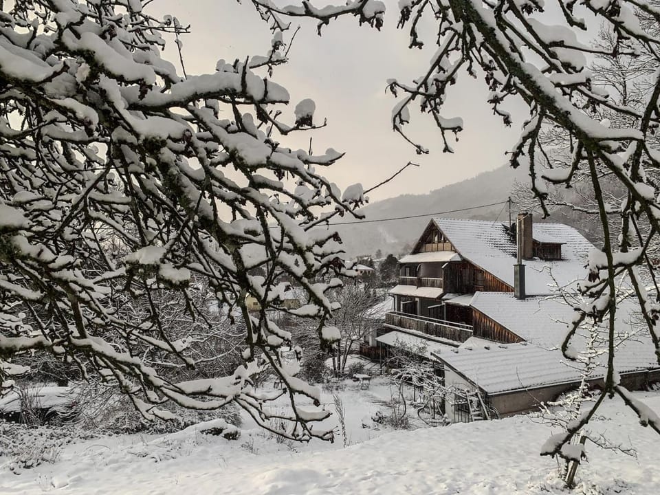 Property building, Day, Natural landscape, Winter, Mountain view