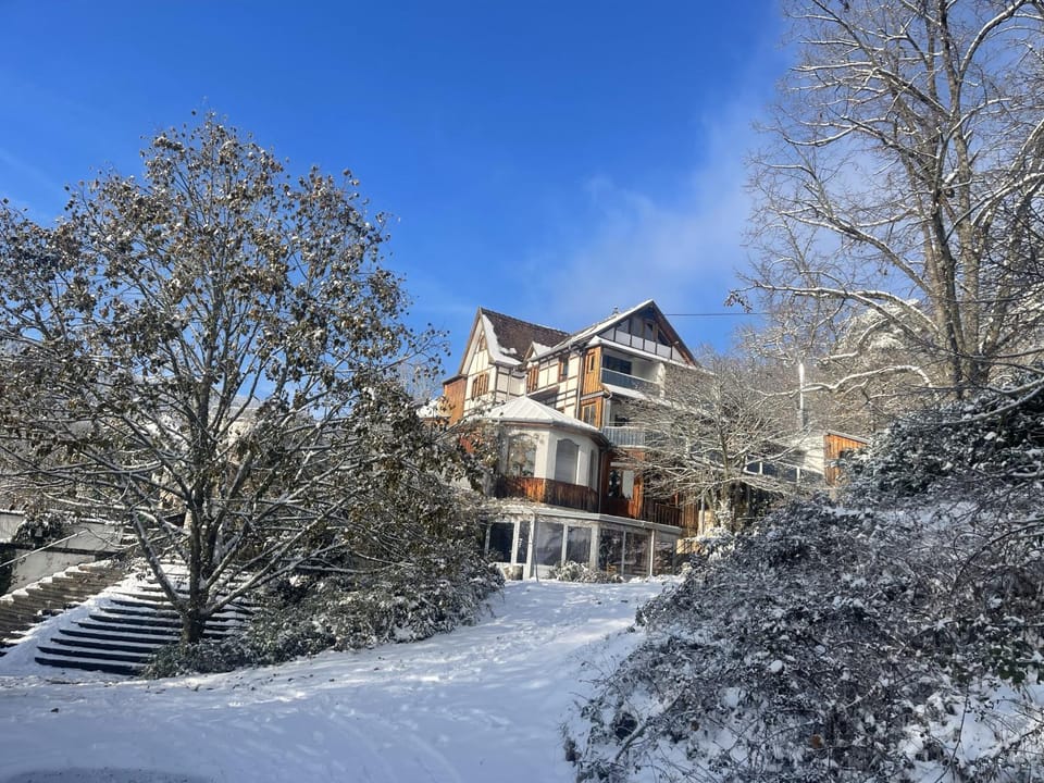Property building, Natural landscape, Winter, View (from property/room), View (from property/room), Garden view, Garden view, Mountain view