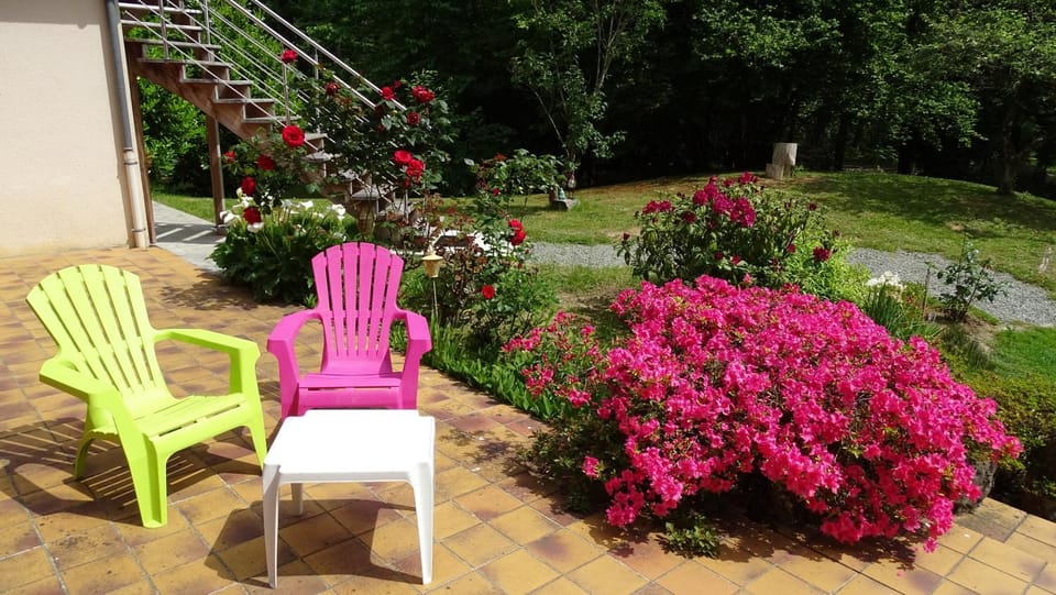Patio, Garden