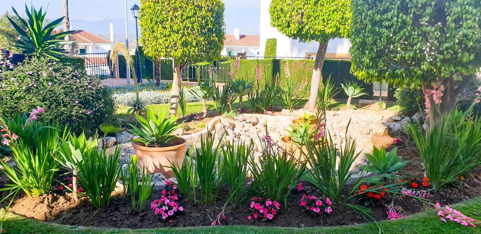 Garden, Garden, Garden view