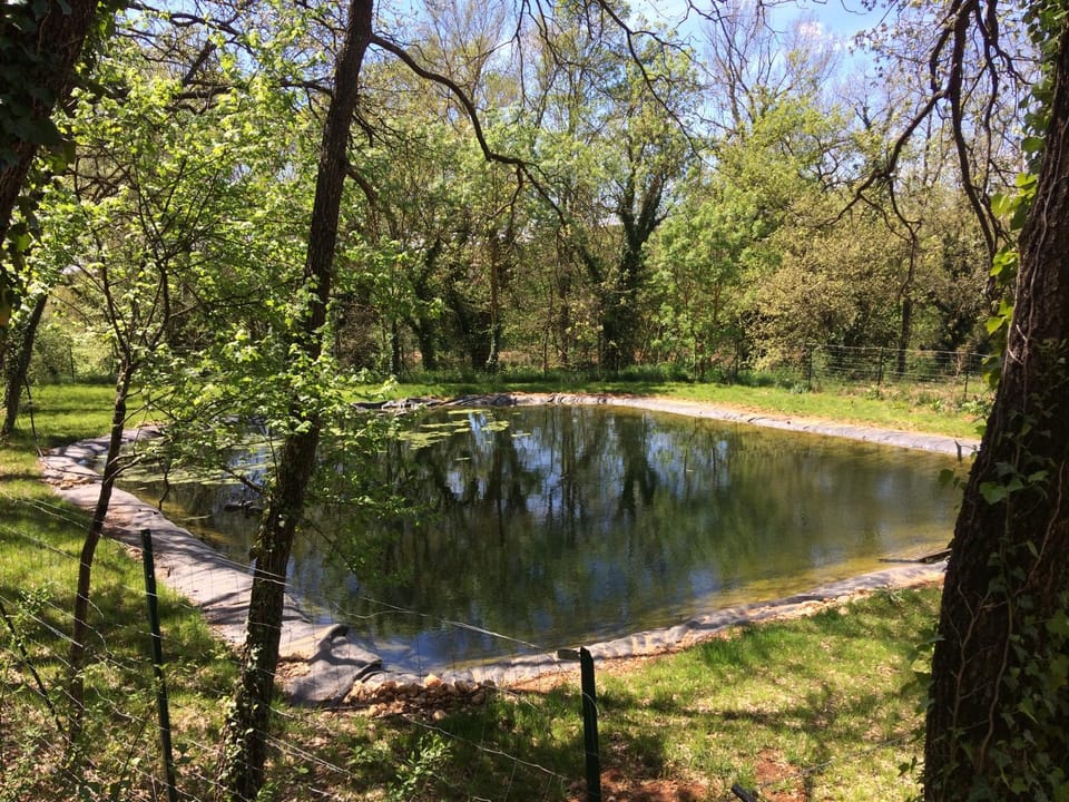 Mobil Home à la ferme, en Provence Campground/ 
RV Resort in French Riviera