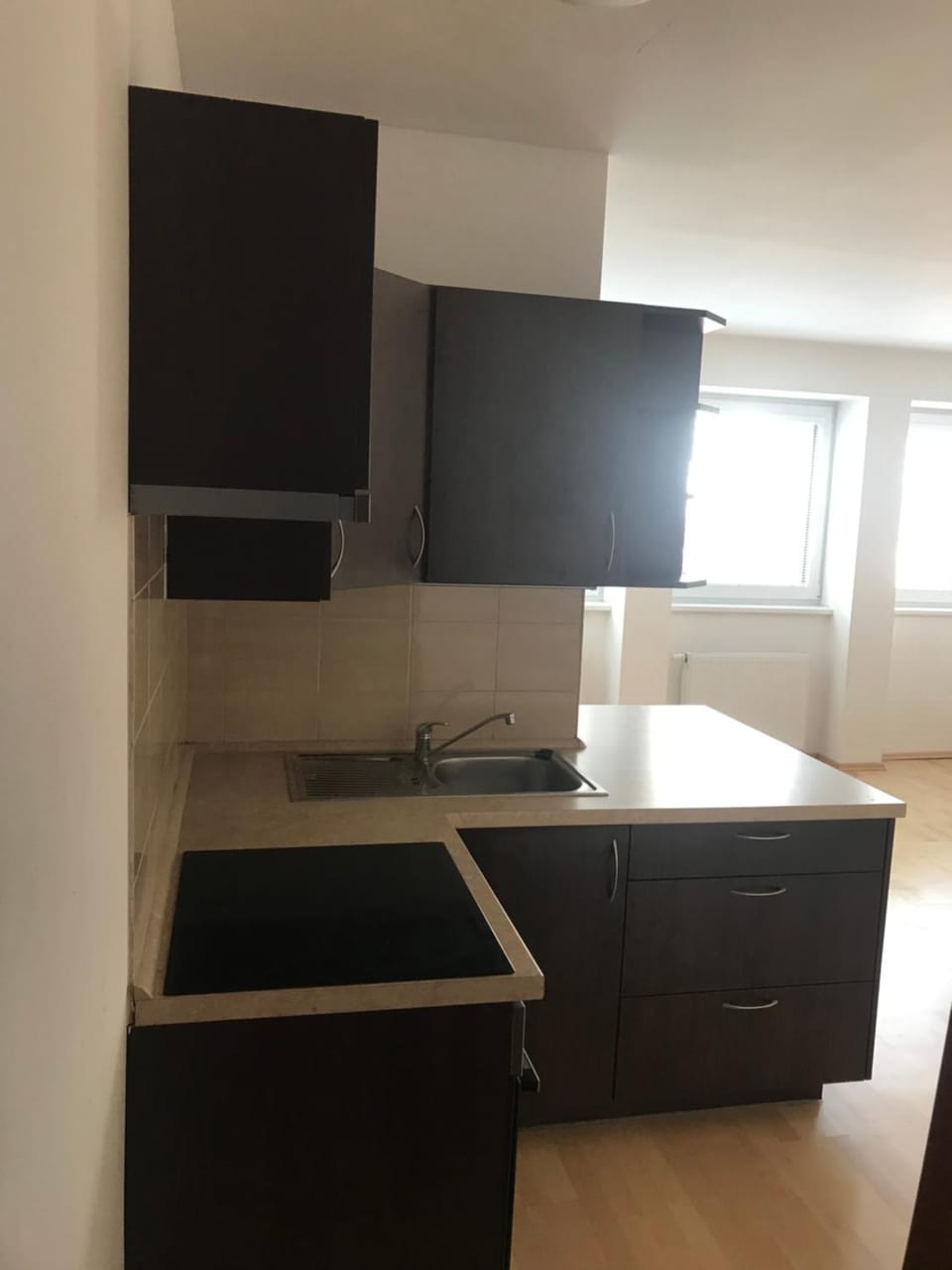 Celý byt plně vybavený , příroda Vacation rental in Czechia