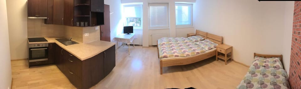 Celý byt plně vybavený , příroda Vacation rental in Czechia