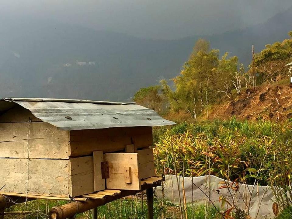 Parkha Homestay Vacation rental in India