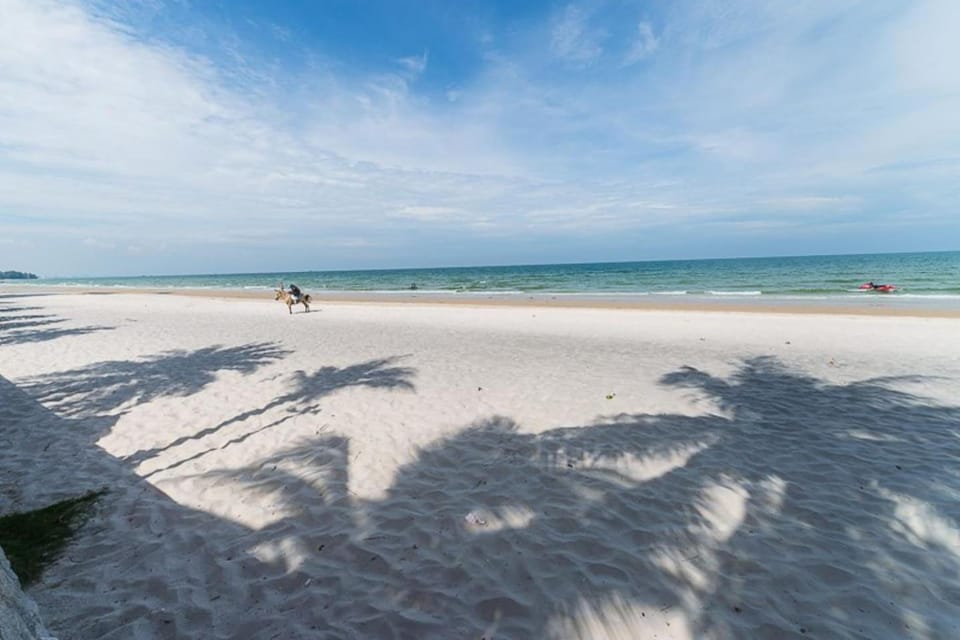 Natural landscape, Beach, Beach, Location